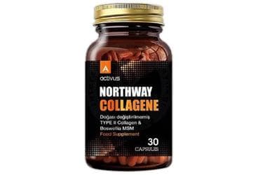 NORTHWAY COLLAGENE TAKVIYE EDICI GIDA 30 kapsül İlaç Görseli