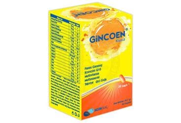 GINCOEN PANAX GINSENG, KOENZIM Q10, MULTIVITAMIN, MULTIMINERAL TAKVIYE EDICI GIDA 30 kapsül İlaç Görseli