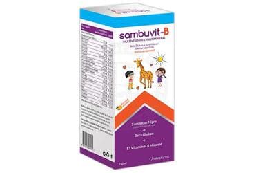 SAMBUVIT-B MULTIVITAMIN & MINERAL SURUP 250 ml şişe İlaç Görseli