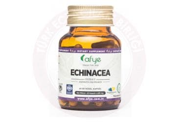 AFYE ECHINACEA TAKVIYE EDICI GIDA KAPSUL 60 kapsül İlaç Görseli