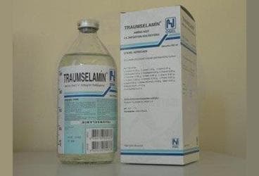 TRAUMSELAMIN AMINOASIT SOL 500 ML SETSIZ SISE İlaç Görseli