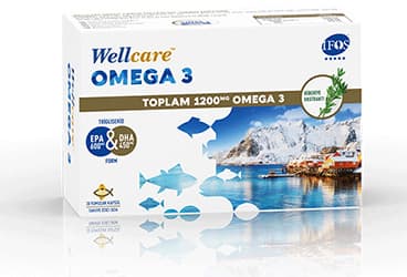 WELLCARE OMEGA 3 KAPSUL 30 kapsül İlaç Görseli