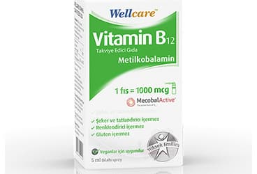 WELLCARE VITAMIN B12 SPREY TAKVIYE EDICI GIDA 1000 mcg 5 ml şişe İlaç Görseli